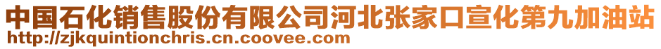 中国石化销售股份有限公司河北张家口宣化第九加油站