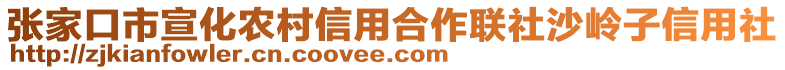 張家口市宣化農(nóng)村信用合作聯(lián)社沙嶺子信用社