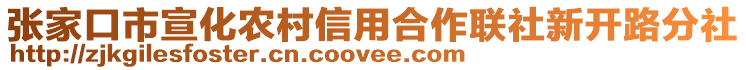 張家口市宣化農(nóng)村信用合作聯(lián)社新開(kāi)路分社