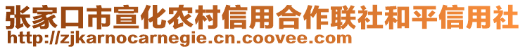 張家口市宣化農(nóng)村信用合作聯(lián)社和平信用社