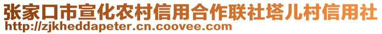 張家口市宣化農(nóng)村信用合作聯(lián)社塔兒村信用社