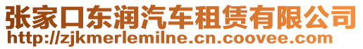 張家口東潤(rùn)汽車租賃有限公司