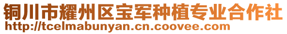 銅川市耀州區(qū)寶軍種植專業(yè)合作社