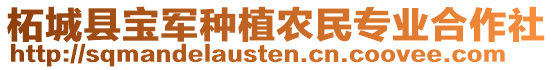 柘城县宝军种植农民专业合作社