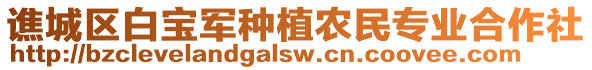 譙城區(qū)白寶軍種植農(nóng)民專(zhuān)業(yè)合作社