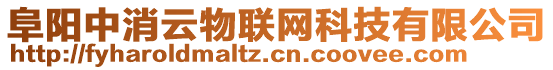 阜陽中消云物聯(lián)網(wǎng)科技有限公司