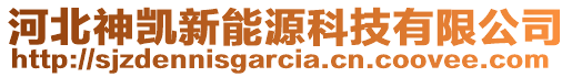 河北神凱新能源科技有限公司