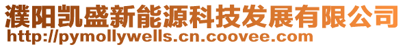 濮阳凯盛新能源科技发展有限公司