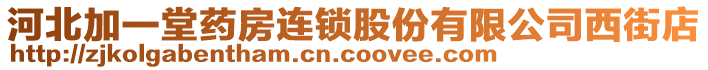 河北加一堂藥房連鎖股份有限公司西街店