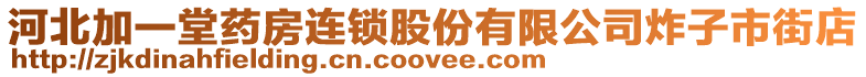 河北加一堂藥房連鎖股份有限公司炸子市街店