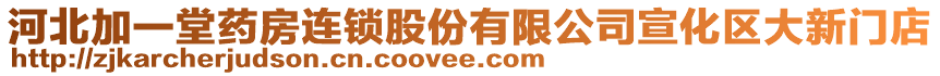 河北加一堂藥房連鎖股份有限公司宣化區(qū)大新門店