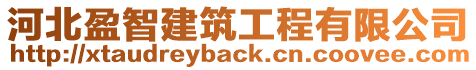 河北盈智建筑工程有限公司