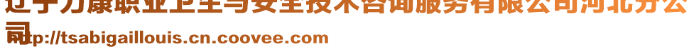 遼寧力康職業(yè)衛(wèi)生與安全技術(shù)咨詢服務(wù)有限公司河北分公
司