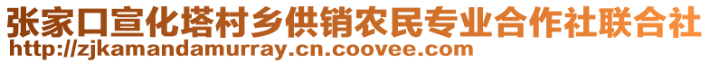 張家口宣化塔村鄉(xiāng)供銷農(nóng)民專業(yè)合作社聯(lián)合社