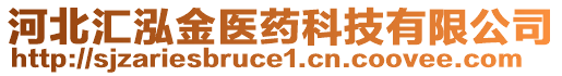 河北匯泓金醫(yī)藥科技有限公司