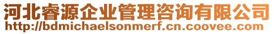 河北睿源企業(yè)管理咨詢有限公司