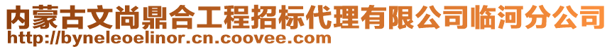 内蒙古文尚鼎合工程招标代理有限公司临河分公司