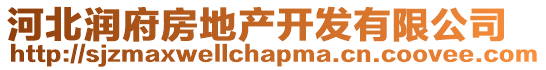 河北潤(rùn)府房地產(chǎn)開(kāi)發(fā)有限公司