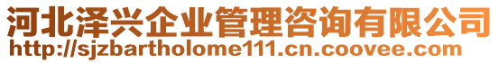 河北泽兴企业管理咨询有限公司