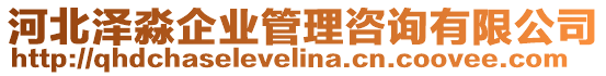 河北澤淼企業(yè)管理咨詢有限公司