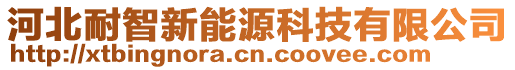 河北耐智新能源科技有限公司