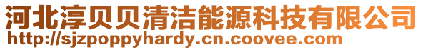 河北淳貝貝清潔能源科技有限公司