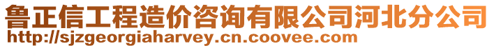 魯正信工程造價咨詢有限公司河北分公司