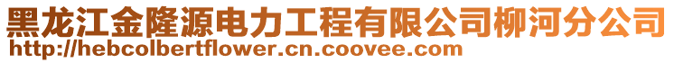 黑龙江金隆源电力工程有限公司柳河分公司