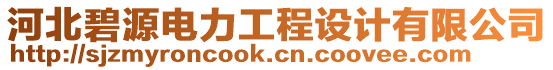 河北碧源電力工程設計有限公司