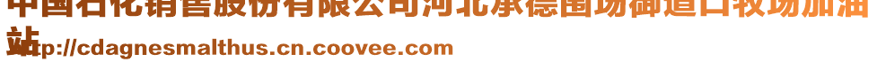 中國石化銷售股份有限公司河北承德圍場御道口牧場加油
站