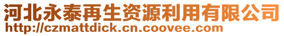 河北永泰再生資源利用有限公司