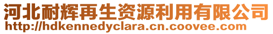 河北耐輝再生資源利用有限公司