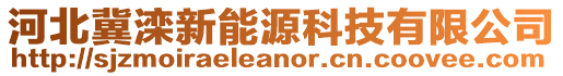 河北冀灤新能源科技有限公司