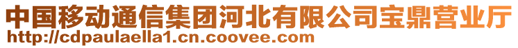 中國移動通信集團河北有限公司寶鼎營業(yè)廳