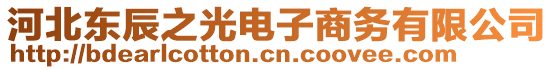 河北東辰之光電子商務(wù)有限公司