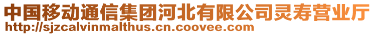 中國(guó)移動(dòng)通信集團(tuán)河北有限公司靈壽營(yíng)業(yè)廳