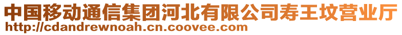 中國移動通信集團河北有限公司壽王墳營業(yè)廳