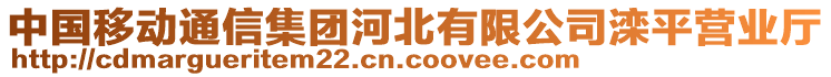 中國移動通信集團河北有限公司灤平營業(yè)廳