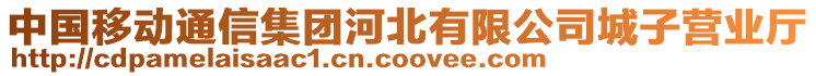 中國(guó)移動(dòng)通信集團(tuán)河北有限公司城子營(yíng)業(yè)廳