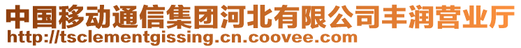 中國(guó)移動(dòng)通信集團(tuán)河北有限公司豐潤(rùn)營(yíng)業(yè)廳