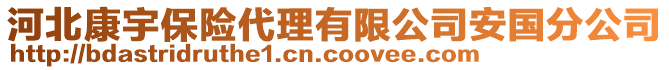 河北康宇保險(xiǎn)代理有限公司安國(guó)分公司