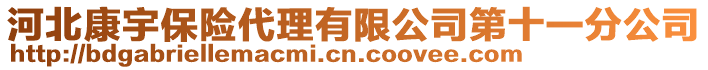 河北康宇保險代理有限公司第十一分公司