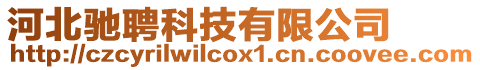 河北馳聘科技有限公司