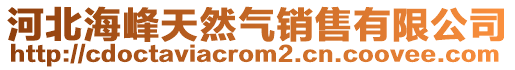 河北海峰天然氣銷售有限公司