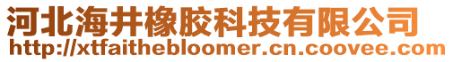 河北海井橡膠科技有限公司