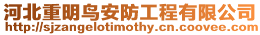 河北重明鳥安防工程有限公司