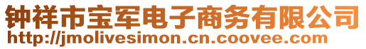 钟祥市宝军电子商务有限公司