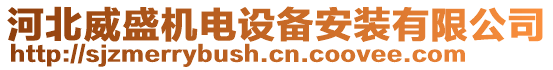 河北威盛機(jī)電設(shè)備安裝有限公司