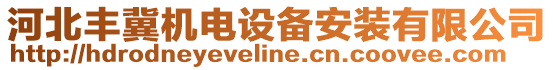 河北豐冀機電設(shè)備安裝有限公司