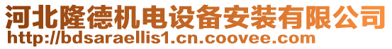 河北隆德機電設(shè)備安裝有限公司